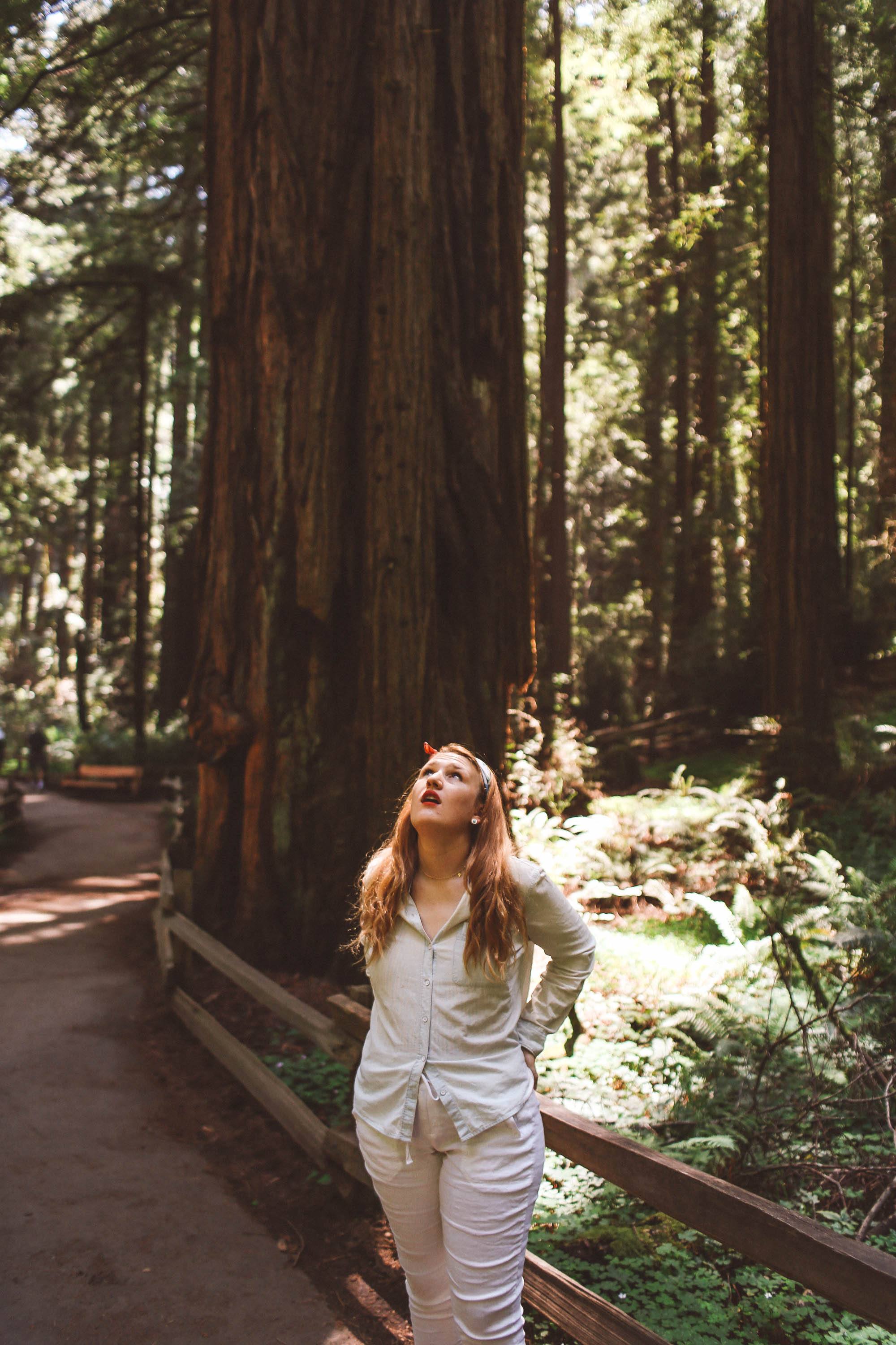 muir woods