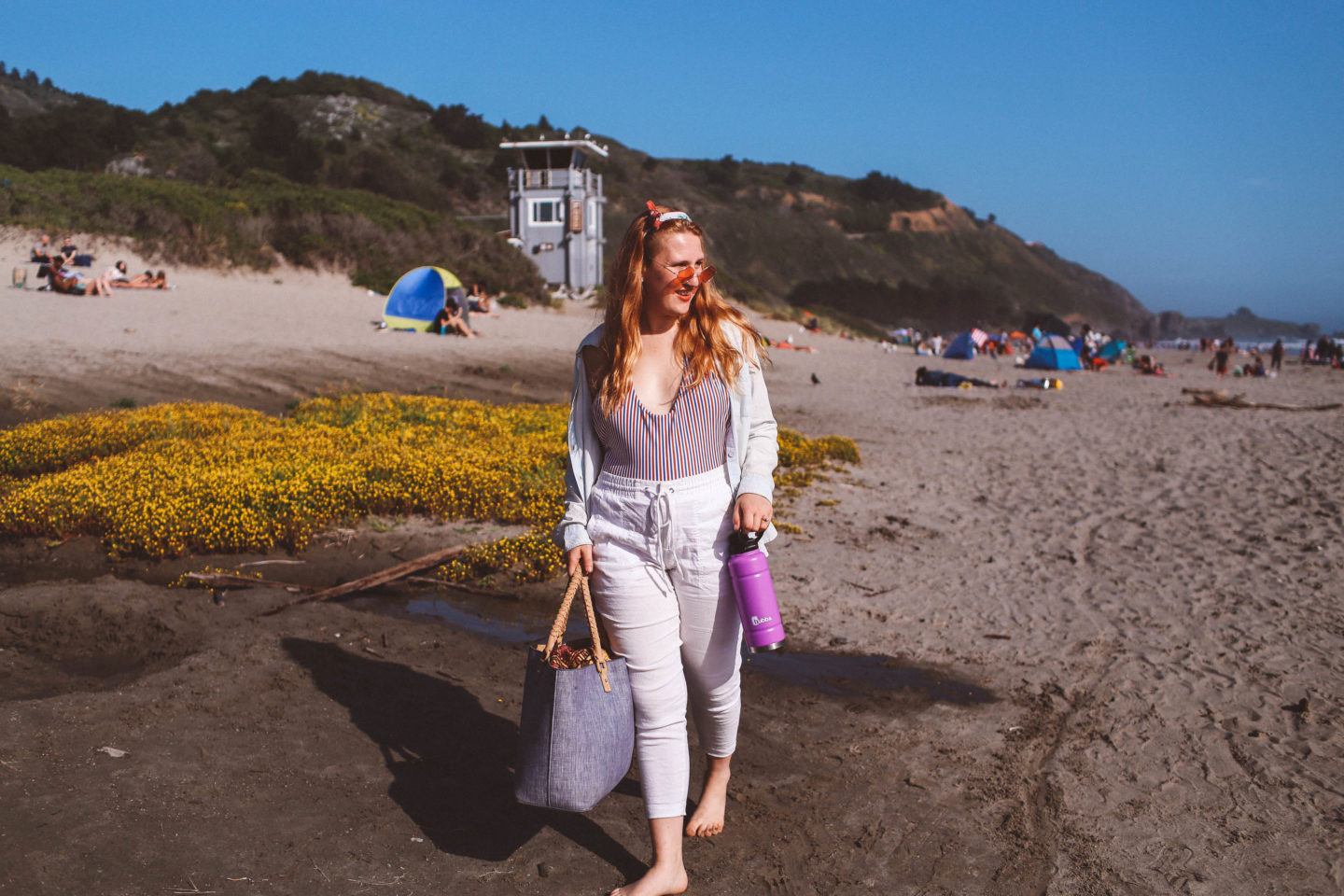 From Redwoods to the Beach