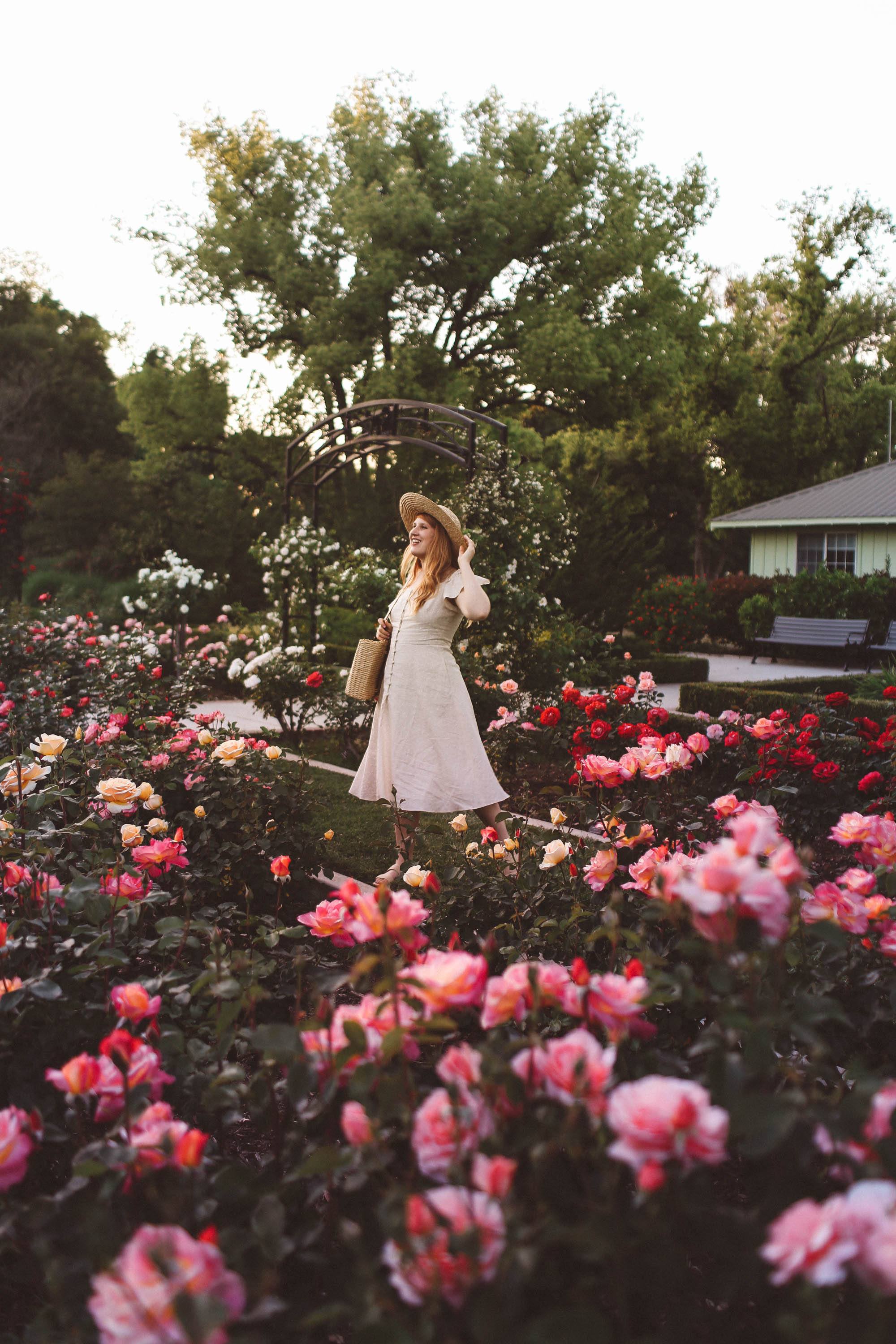 Gal Meets Glam collection dress line in rose garden