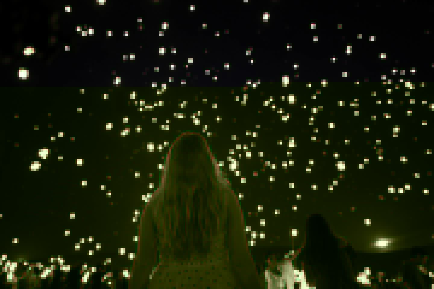 9 Things To Know About The Lights Fest Before You Go