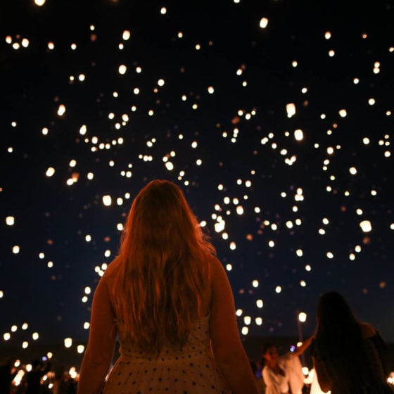 the lights fest lantern festival