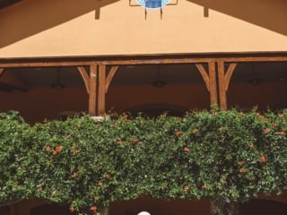 Woman in floral dress and straw hat at a Napa Valley Winery