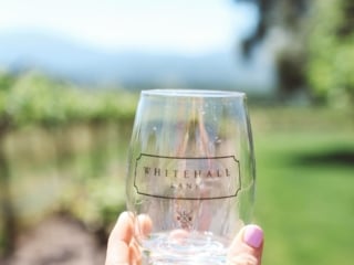 hand holding a wine glass at Whitehall Lane Vineyards