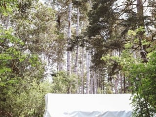 Tent surrounded by trees