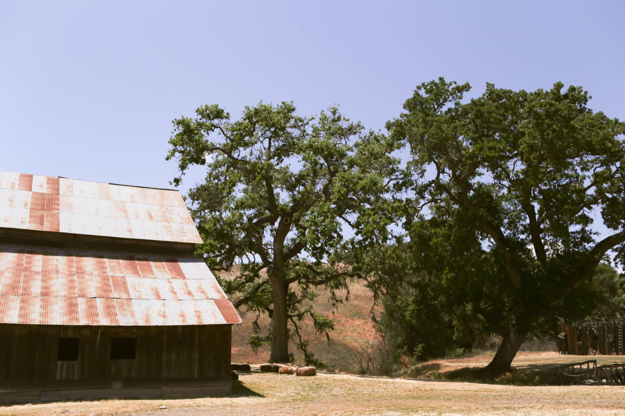 Barn and trees at Gainey Vineyard in Santa Ynez