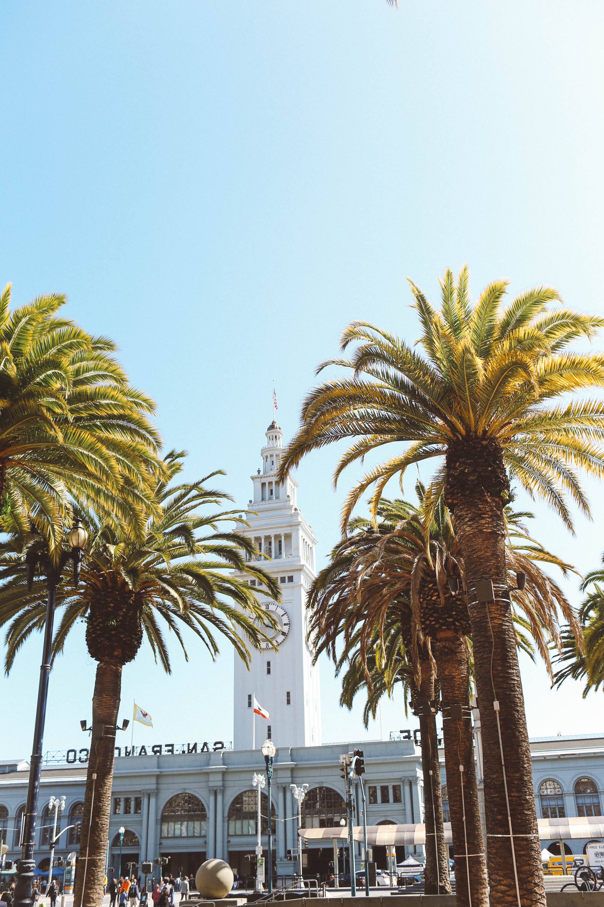 Palm trees with ferry building in the background