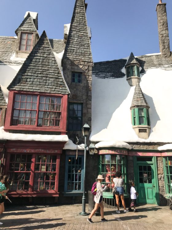 11 Wizarding World of Harry Potter Tips & Hacks To Save Time & Money!