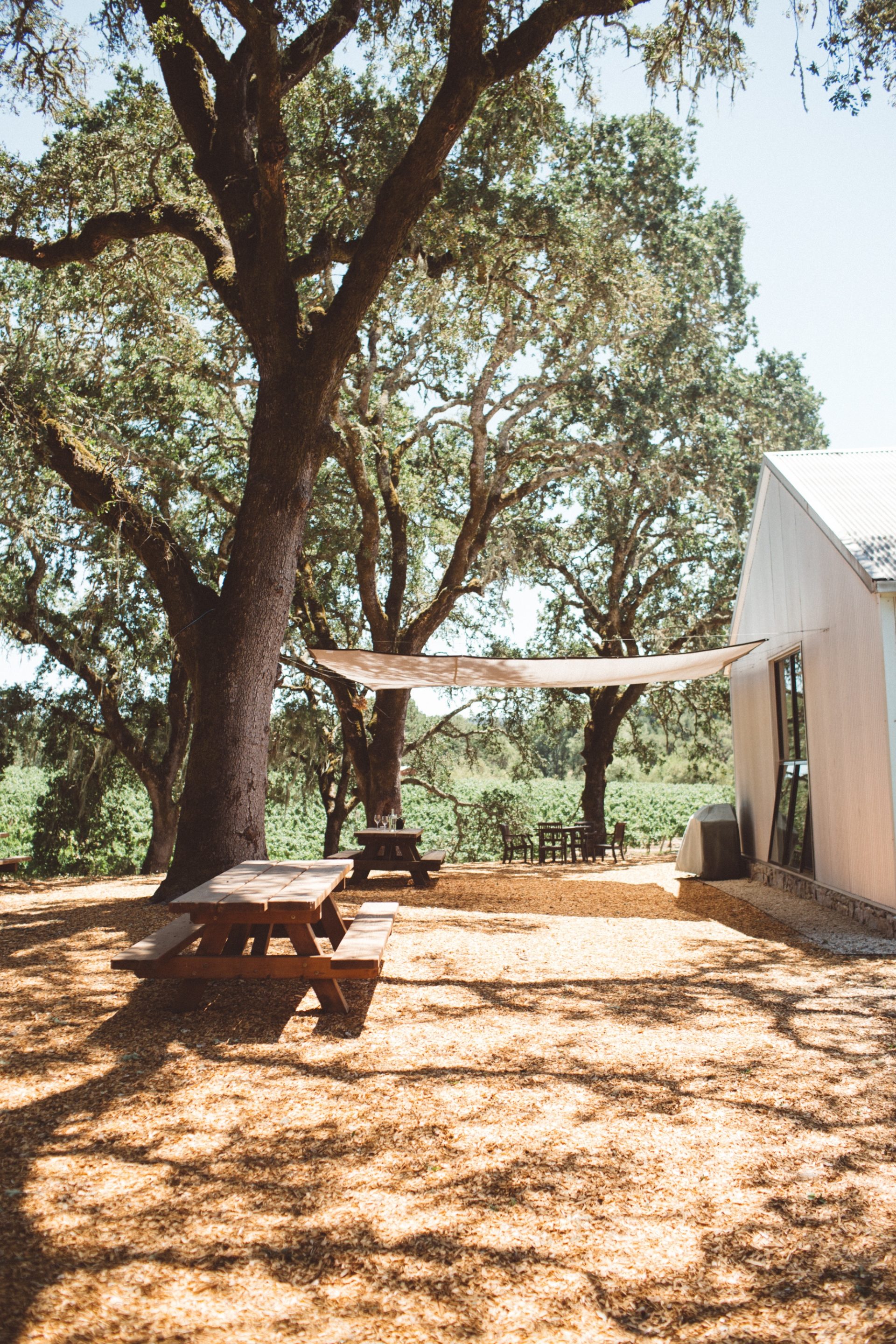 Medlock Ames Bell Mountain Ranch