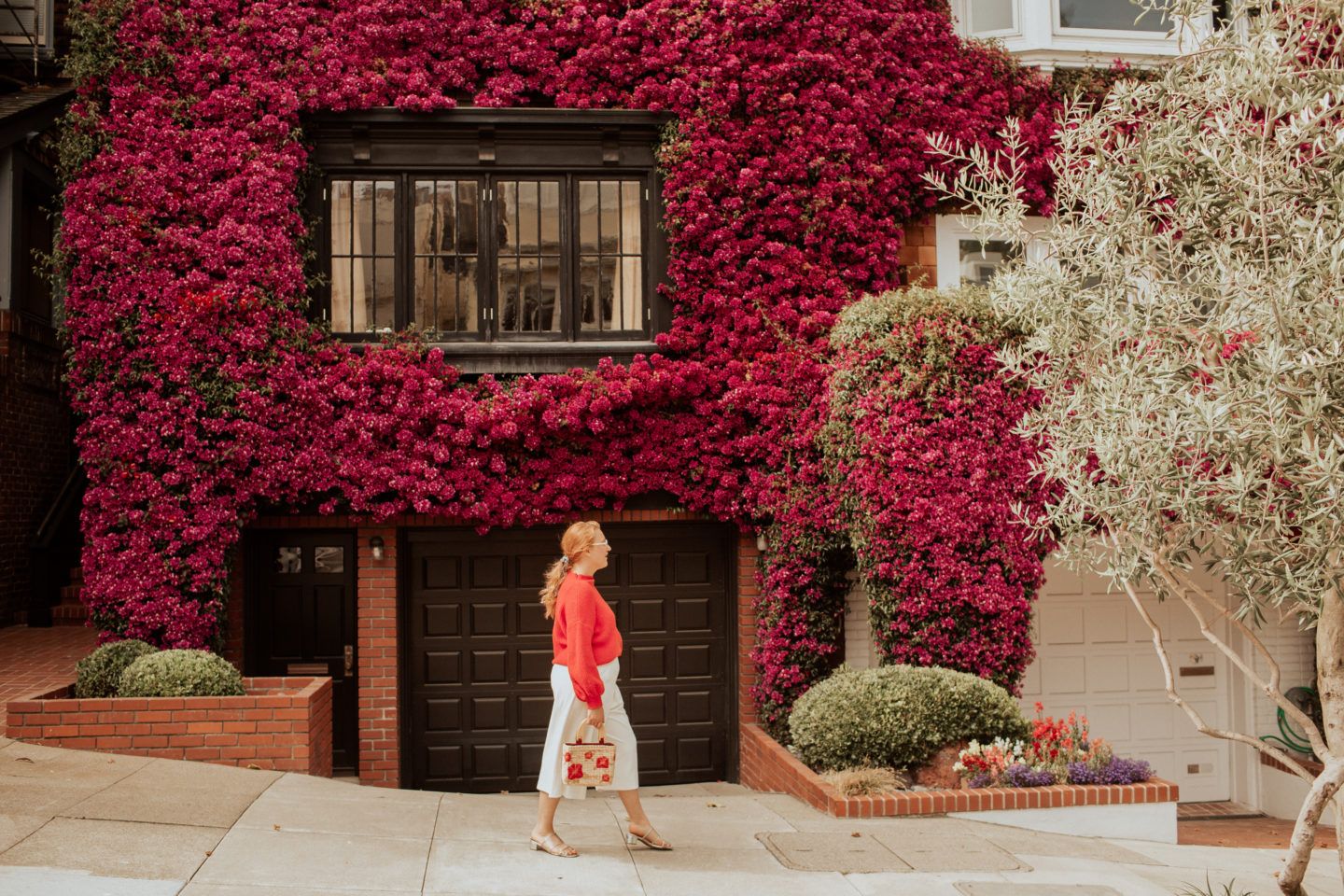 Bougainvillea In The Marina