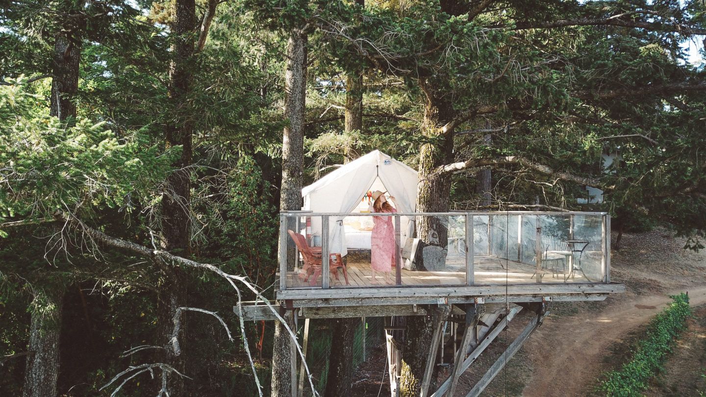 10 Cool Treehouse Airbnb’s You’ll Want To Sleep In