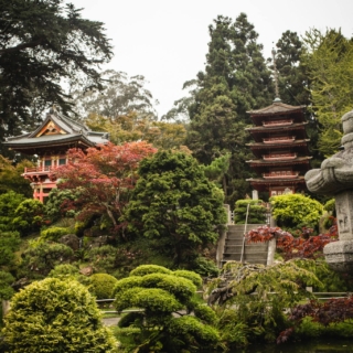 Japanese Tea Garden in San Francisco