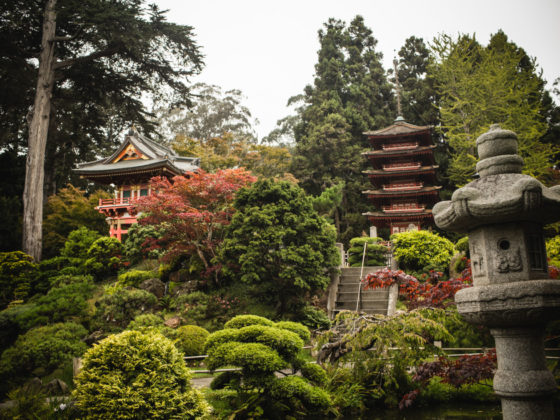 Japanese Tea Garden in San Francisco