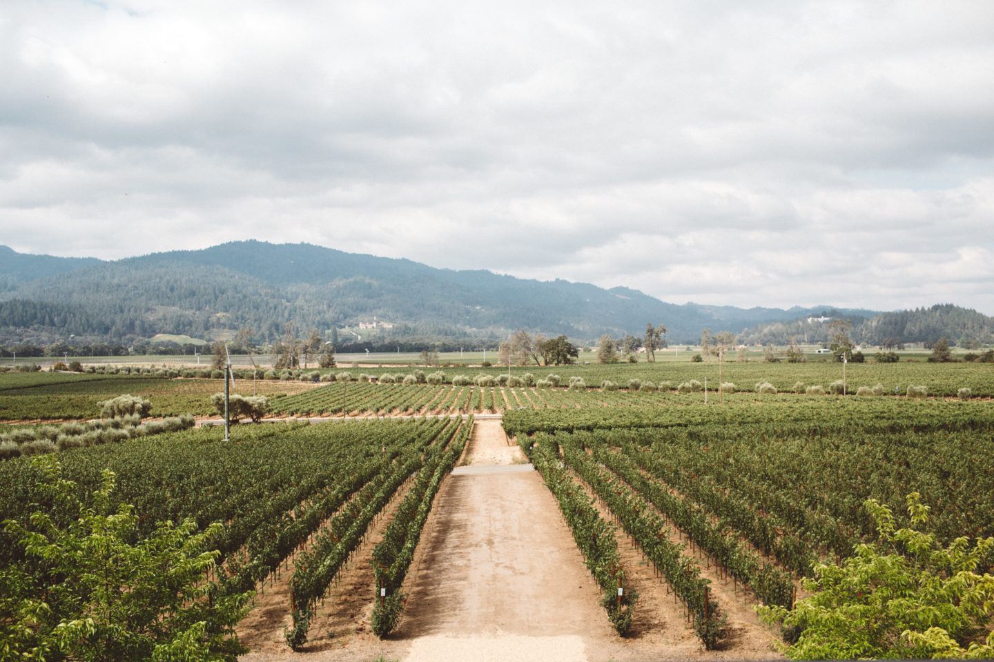 72 Hours In Calistoga Travel Guide