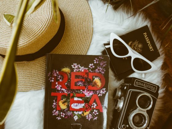 a book, old fashioned camera, hat, passport