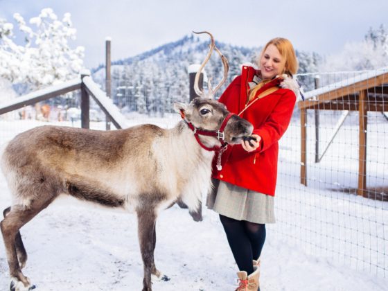 Leavenworth reindeer farm