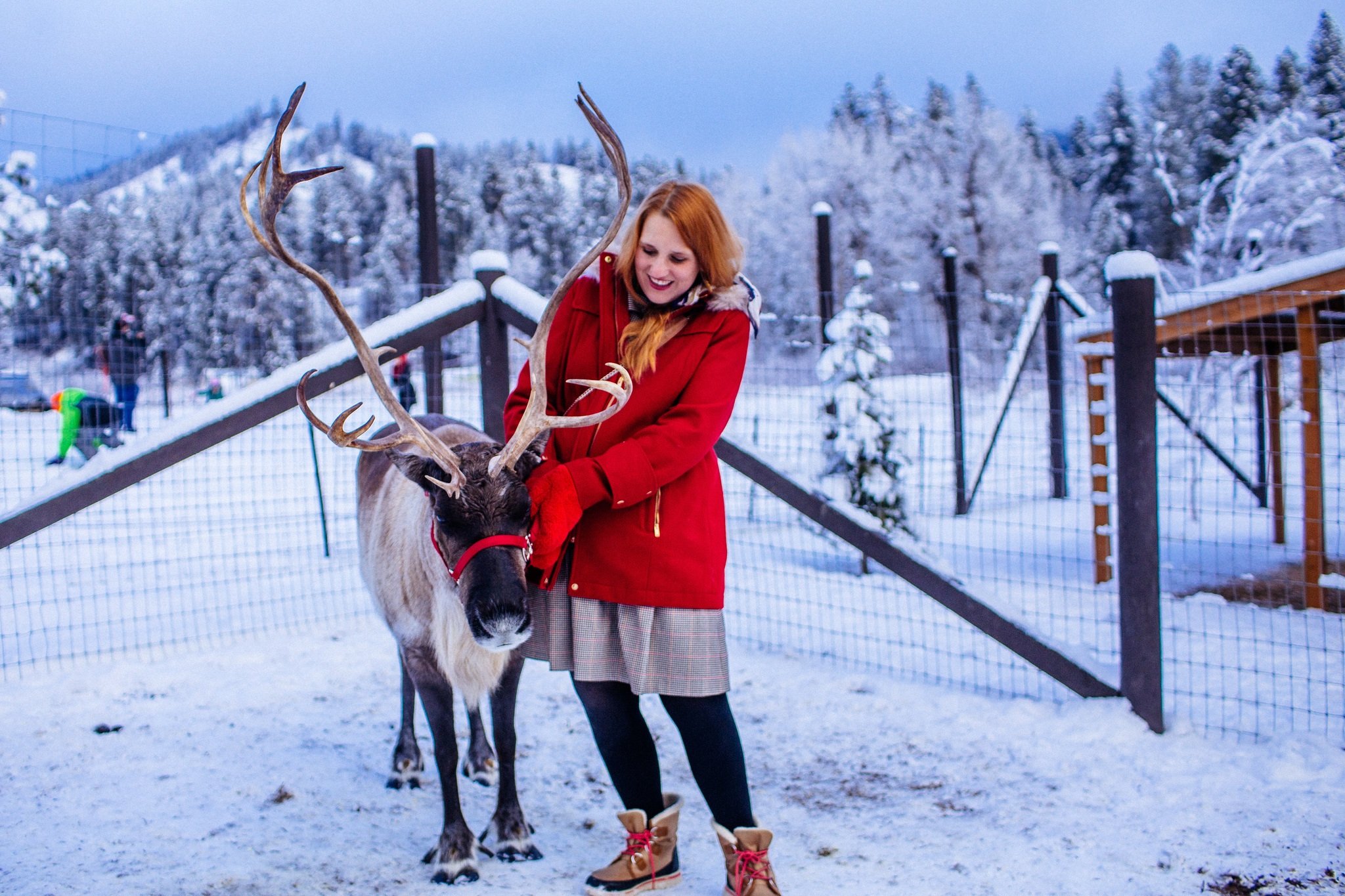Leavenworth reindeer farm