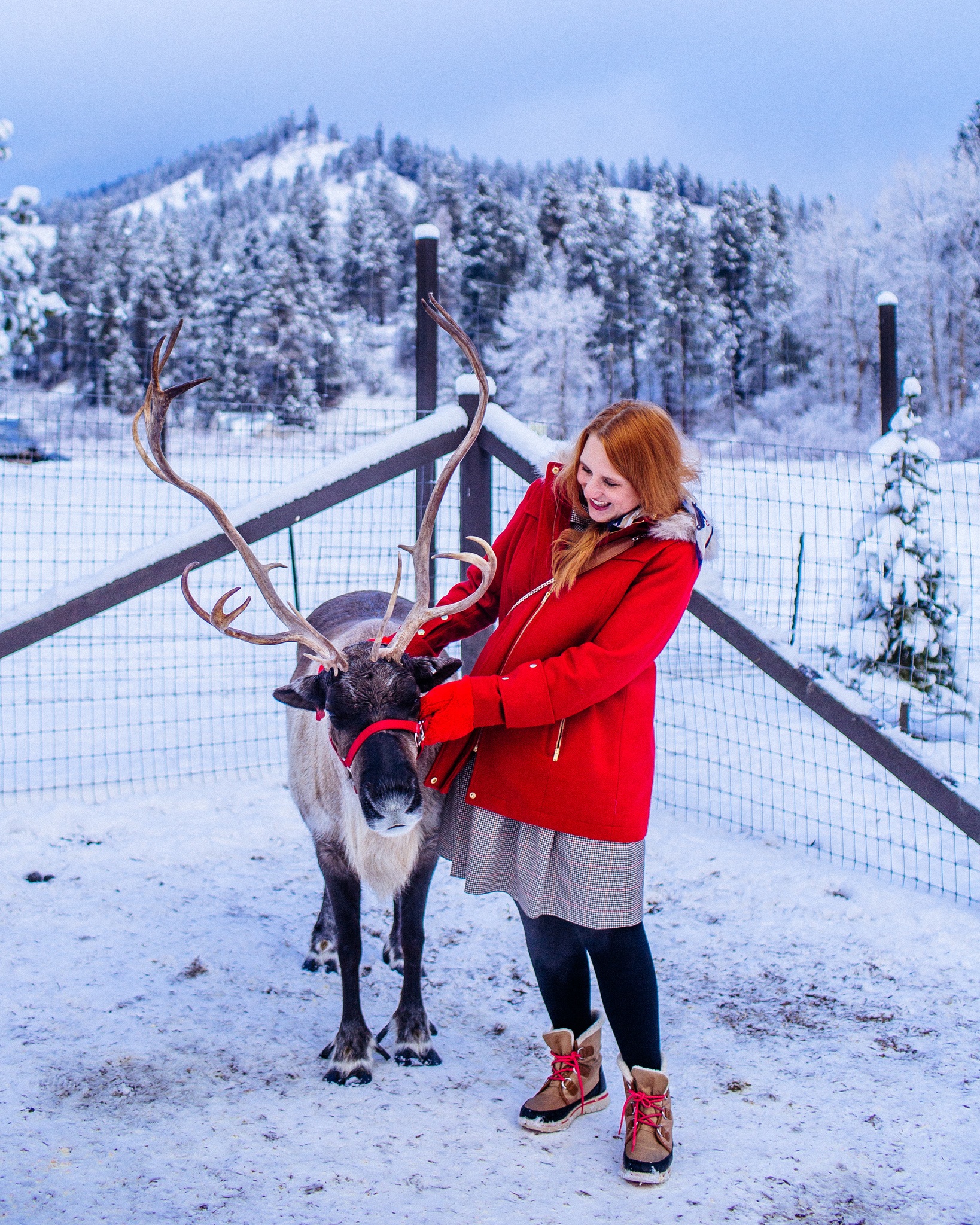 Woman at reindeer farm in Leavenworth