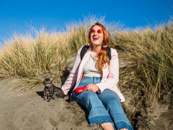 Cat at the beach