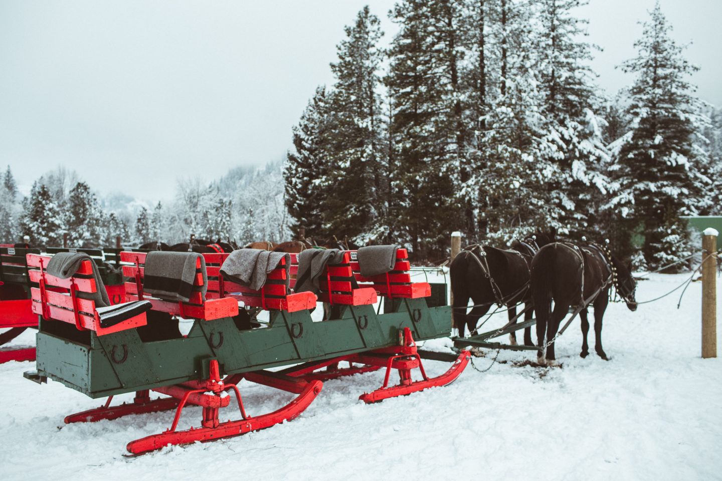 Sleigh in Leavenworth