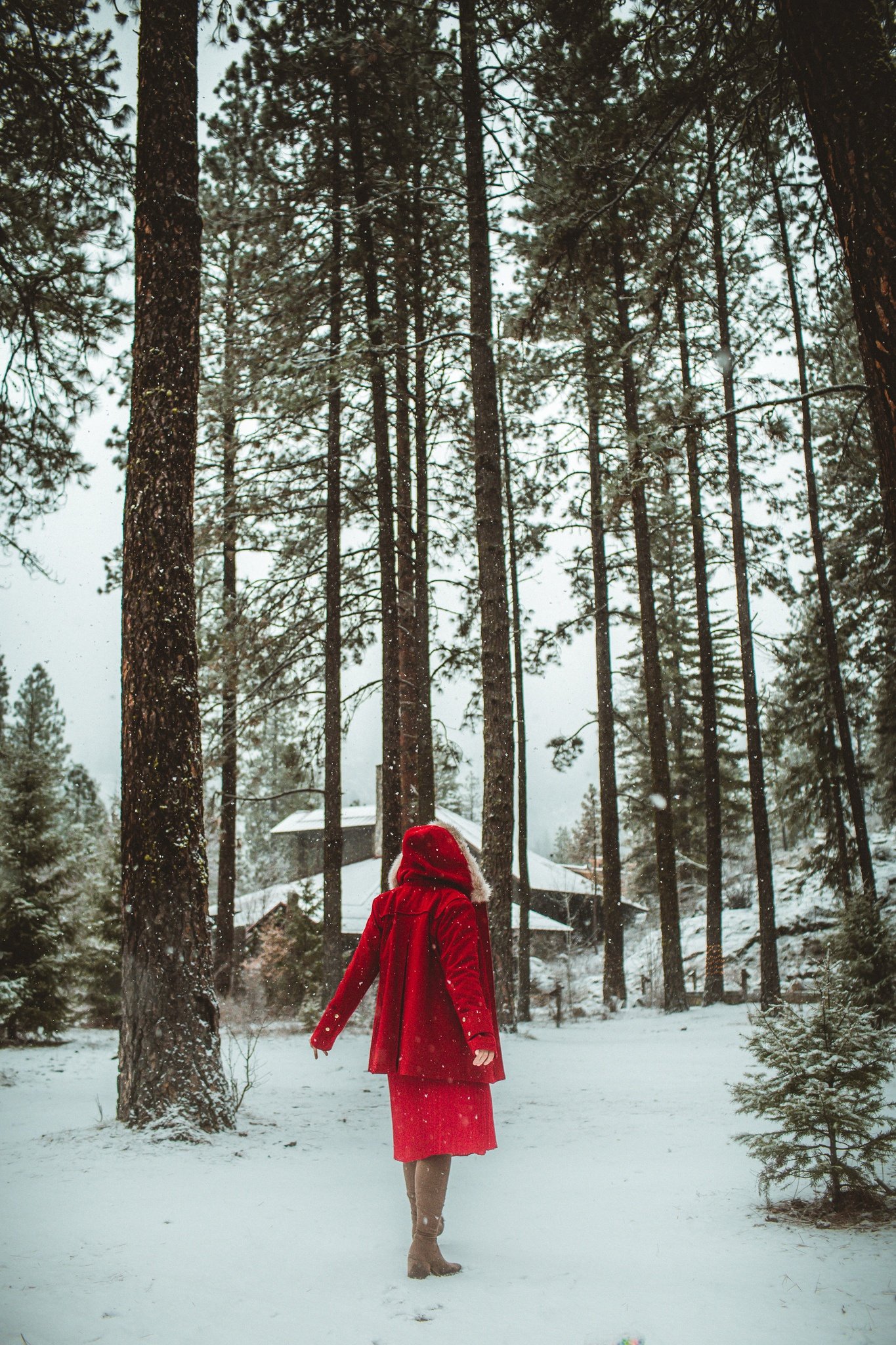 woman in red ensemble in the snowy pnw woods