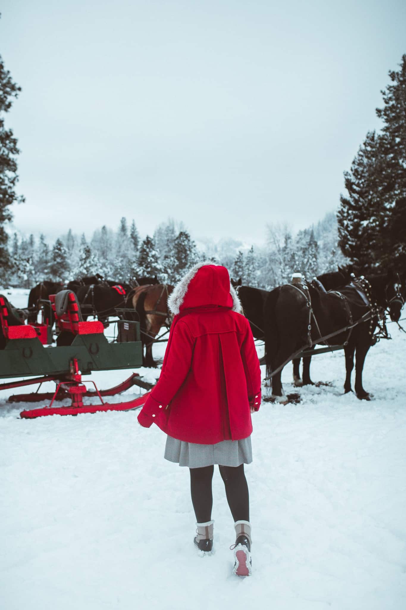 Woman in red coat walking towards sleigh