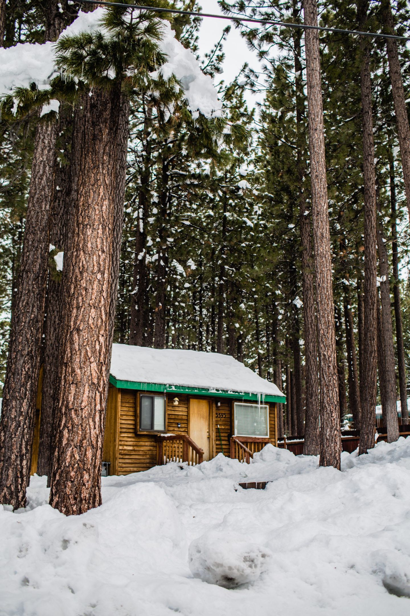 9 Cozy South Lake Tahoe Cabins To Rent For Your Ski Trip
