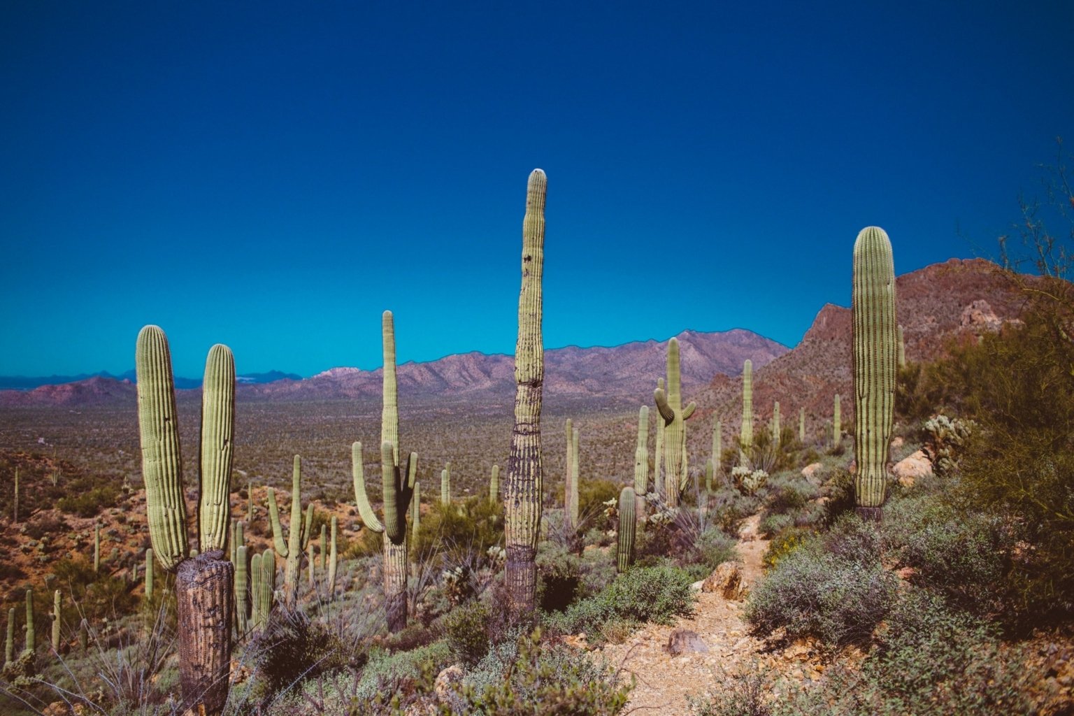 Arizona's Hidden Gem: Rafter Eleven State Park - A Paradise for Outdoor Enthusiasts