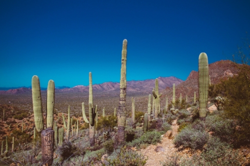 26 Amazing Things To Do In Arizona + Hidden Gems!