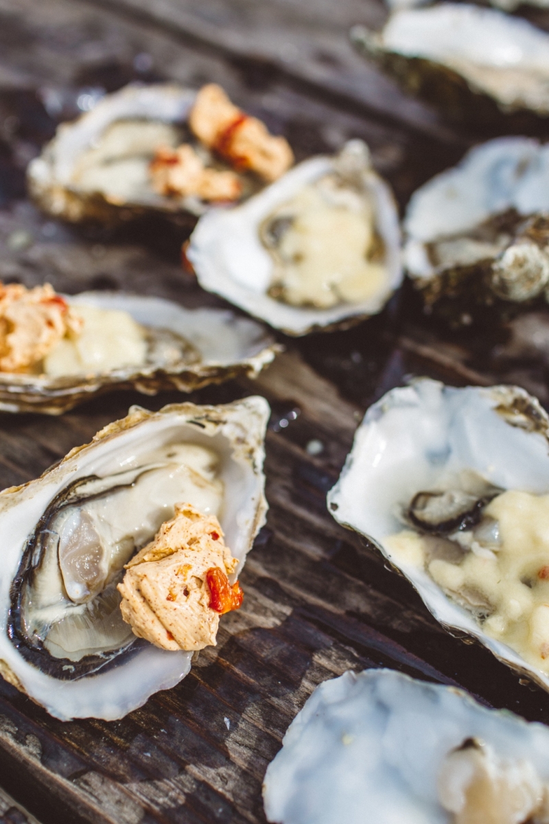 Your Ultimate Guide To Visiting Hog Island Oyster Farm in Marshall