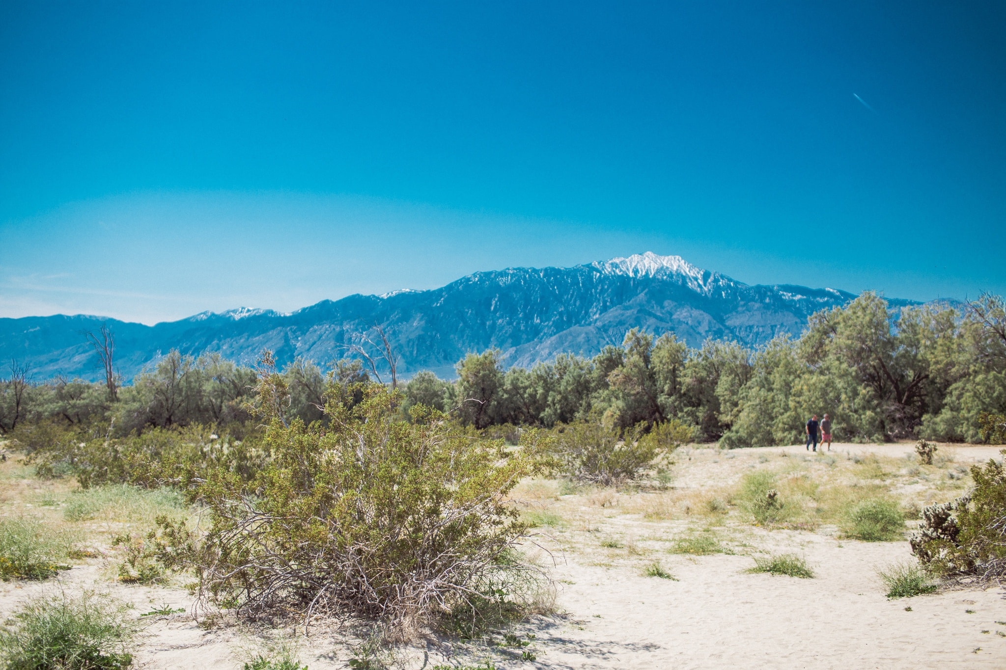 Desert X Palm Springs 2019 a MEGA Guide For All The Installations