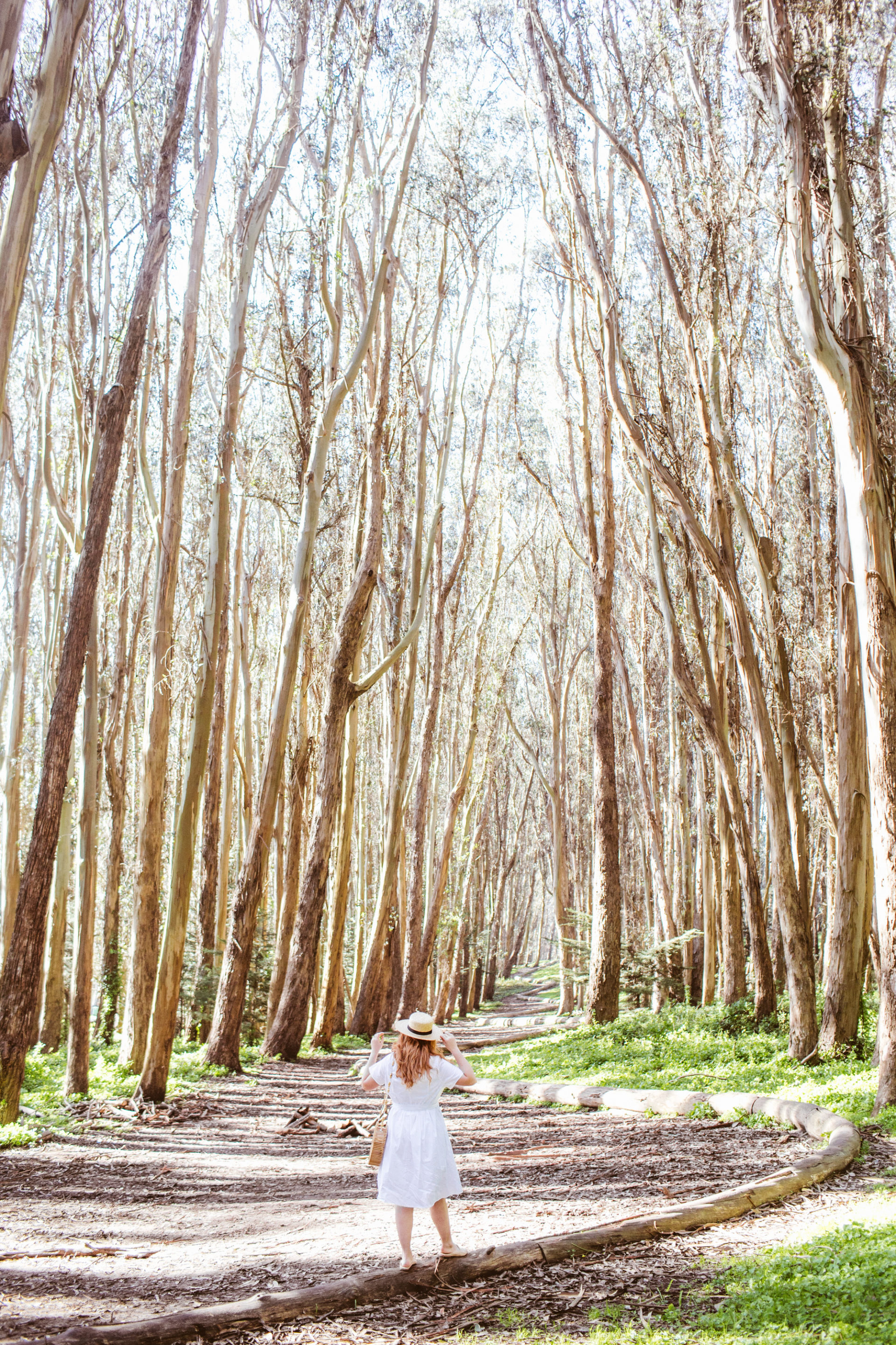 32-unique-san-francisco-date-ideas-according-to-a-local