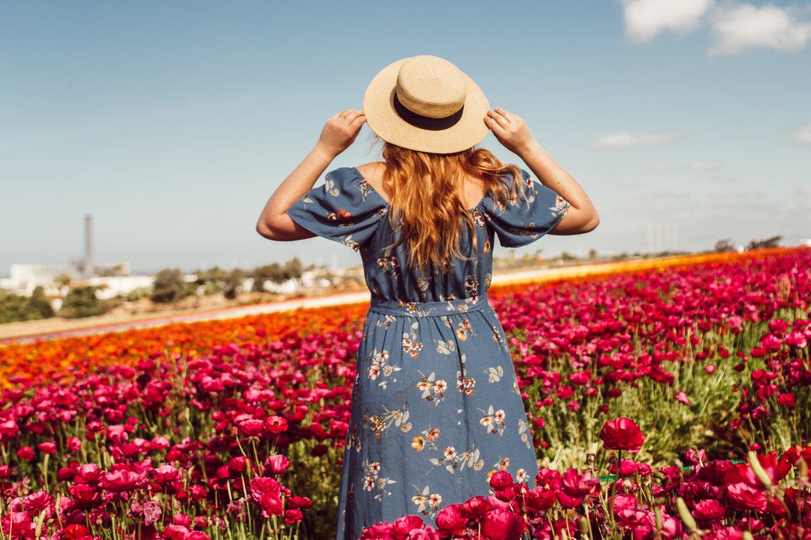 17+ Best Flower Fields in California + Best Seasons To View Them