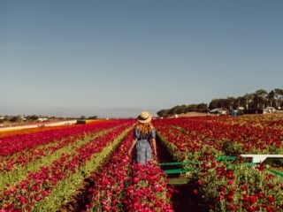 Wearing a blue floral print dress and straw hat at the Carlsbad Flower Field