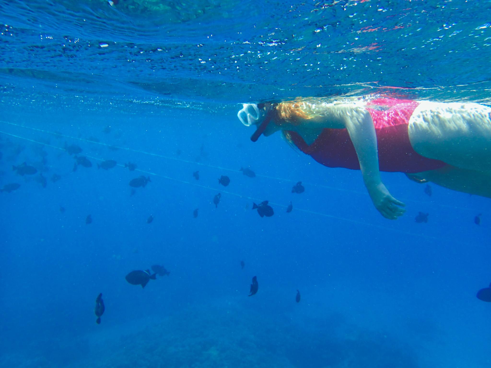 Floral Bikini in Maui
