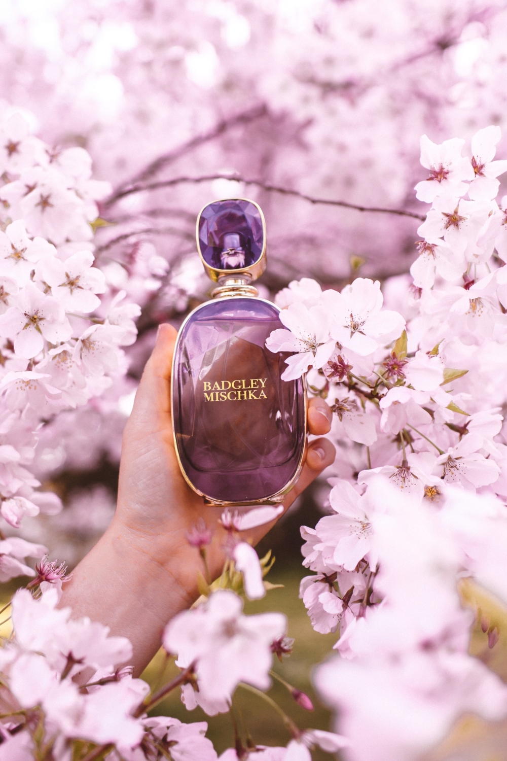 Is Scentbird Legit? I Tried Their Perfume, Here's My Verdict (Scentbird