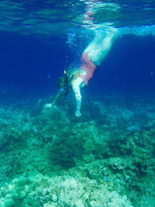 Snorkel Maui Cruise Review (The BEST Snorkel Cruise to Molokini!)