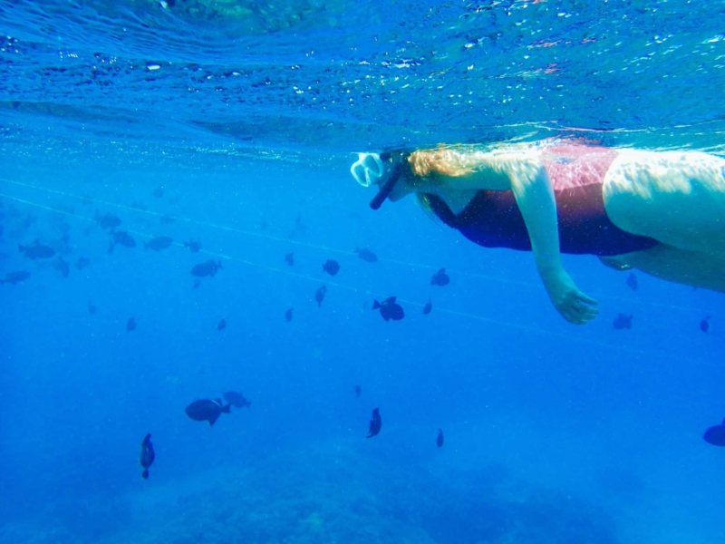 Snorkel Maui Hawaii Cruise - woman snorkeling in coral reef