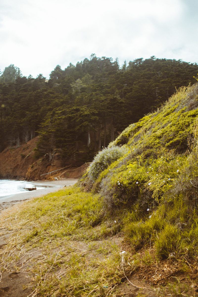 Is The Kirby Cove Swing Cut Down? 2019 Update + Map