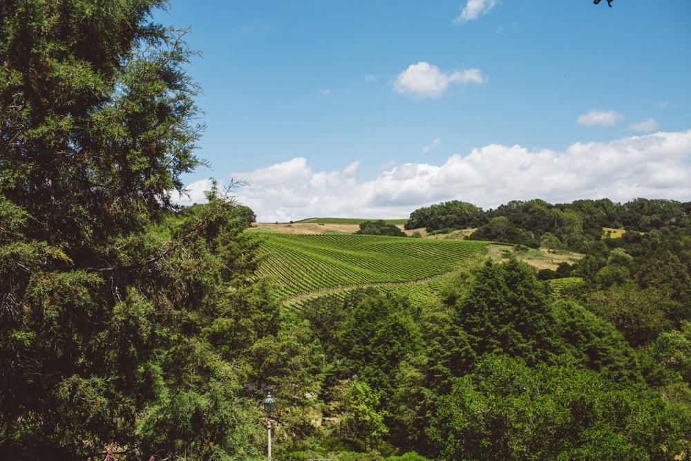 Chalk Hill Estate in Healdsburg, California