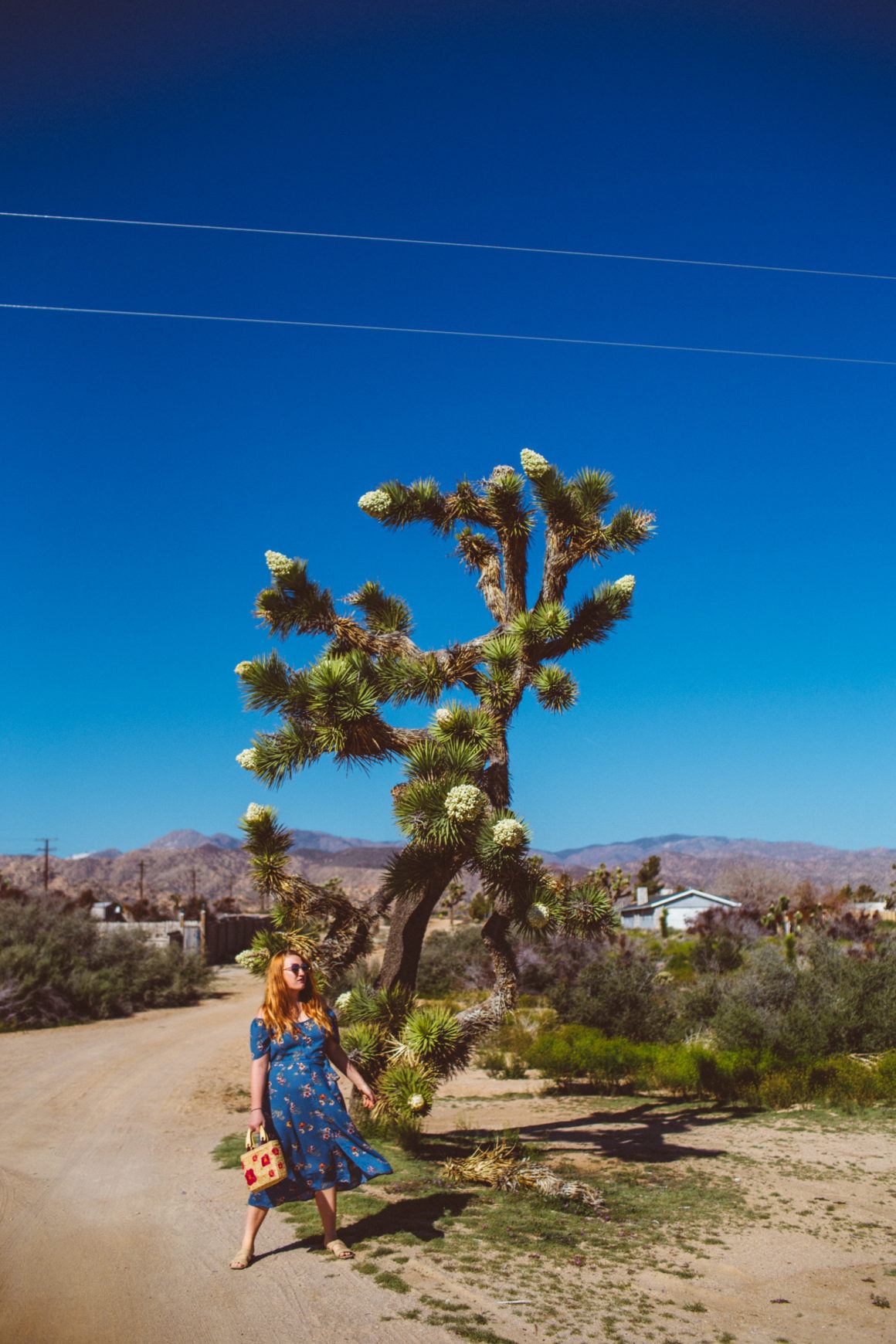7 MustDo Things To Do In Pioneertown (An Old West Town Near Joshua Tree!)