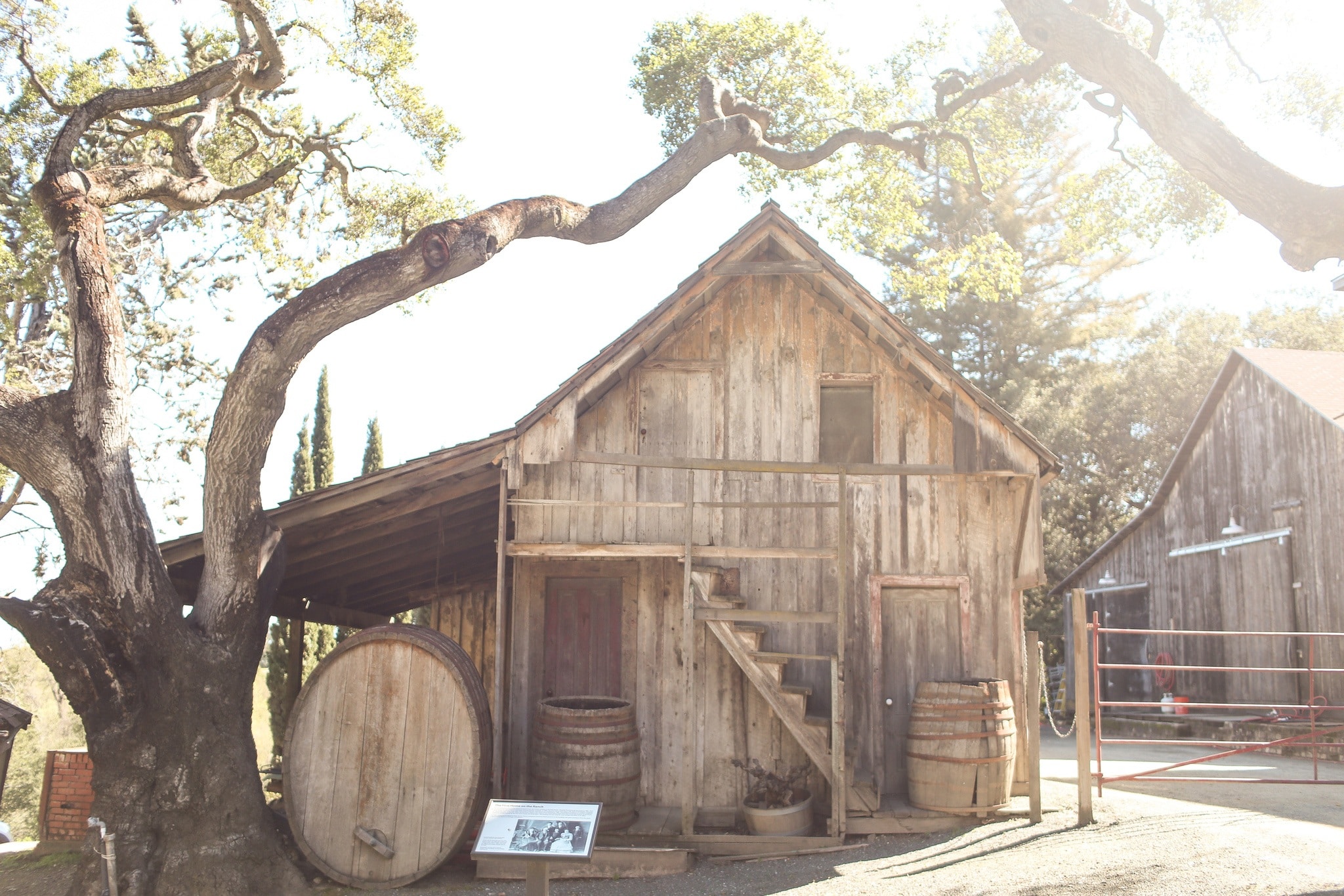 Best Santa Cruz Mountain Wineries For A Weekend Trip With Photos