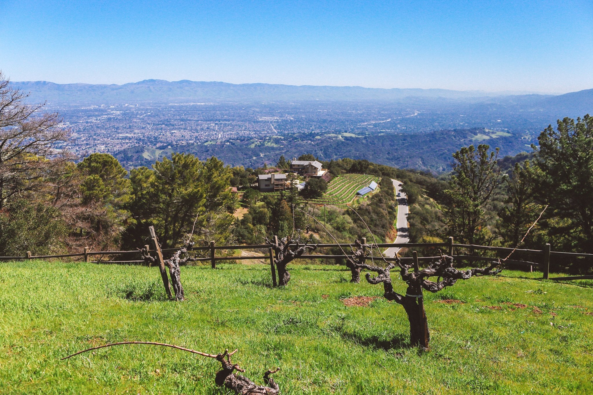 Best Santa Cruz Mountain Wineries For A Weekend Trip With Photos