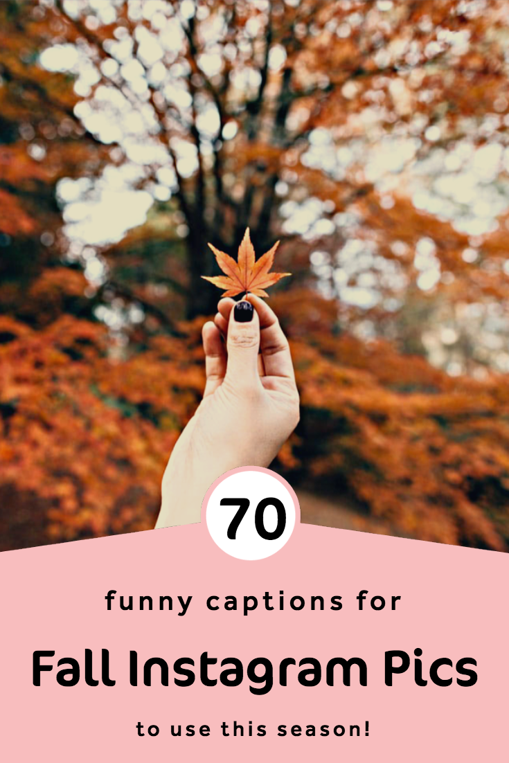 100-fall-instagram-captions-for-guaranteed-likes-shares-more