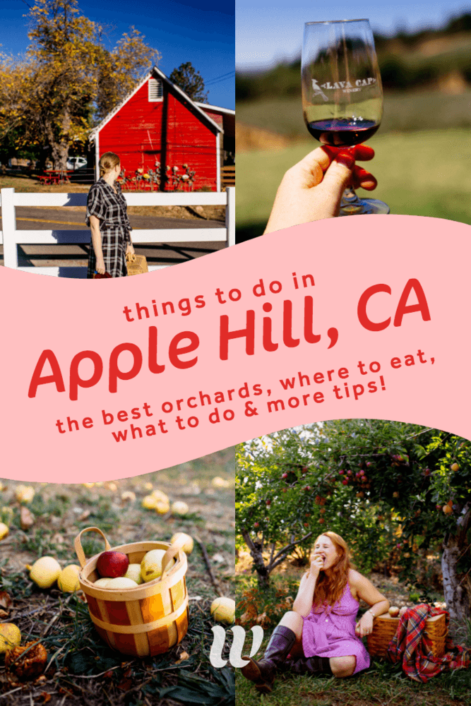 Sale > best wineries in apple hill > in stock