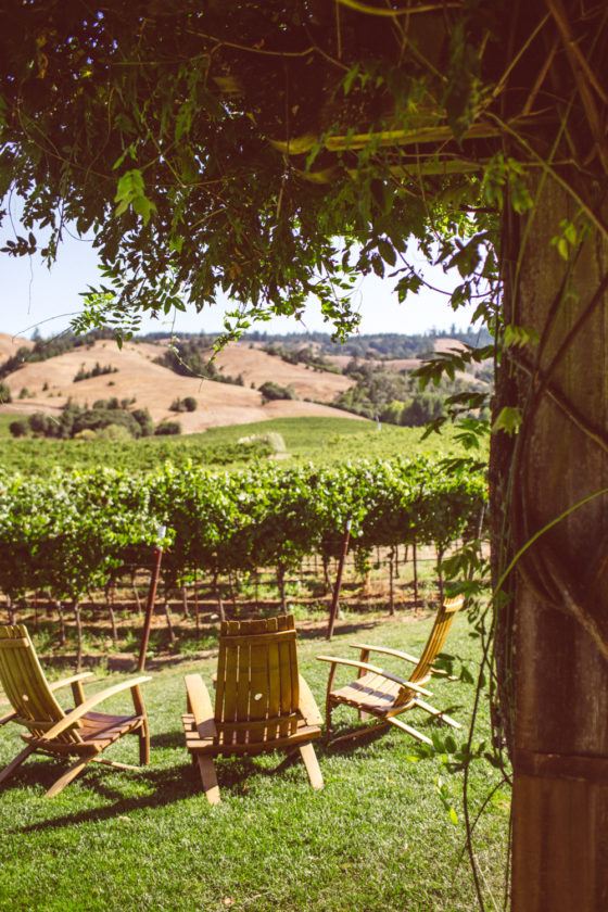 Anderson Valley Wineries: Where To Find FREE Wine Tastings & More ...