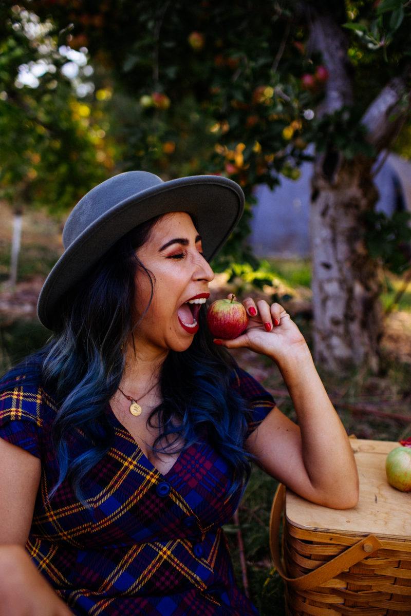 Apple Hill California The Ultimate Fall Travel Guide