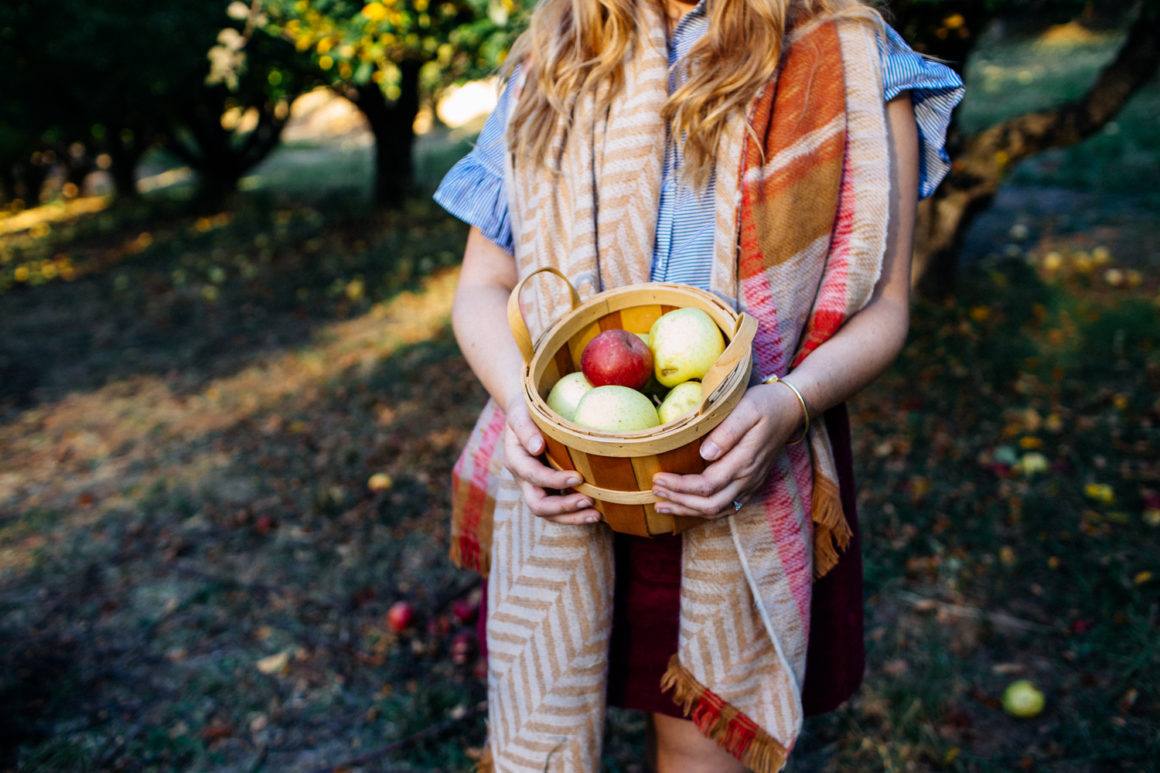 Apple Hill California: The Ultimate Fall Travel Guide Apple hill ca weather