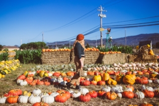 OH MY GOURD, These Are The Cutest Pumpkin Patch Outfit Ideas EVER