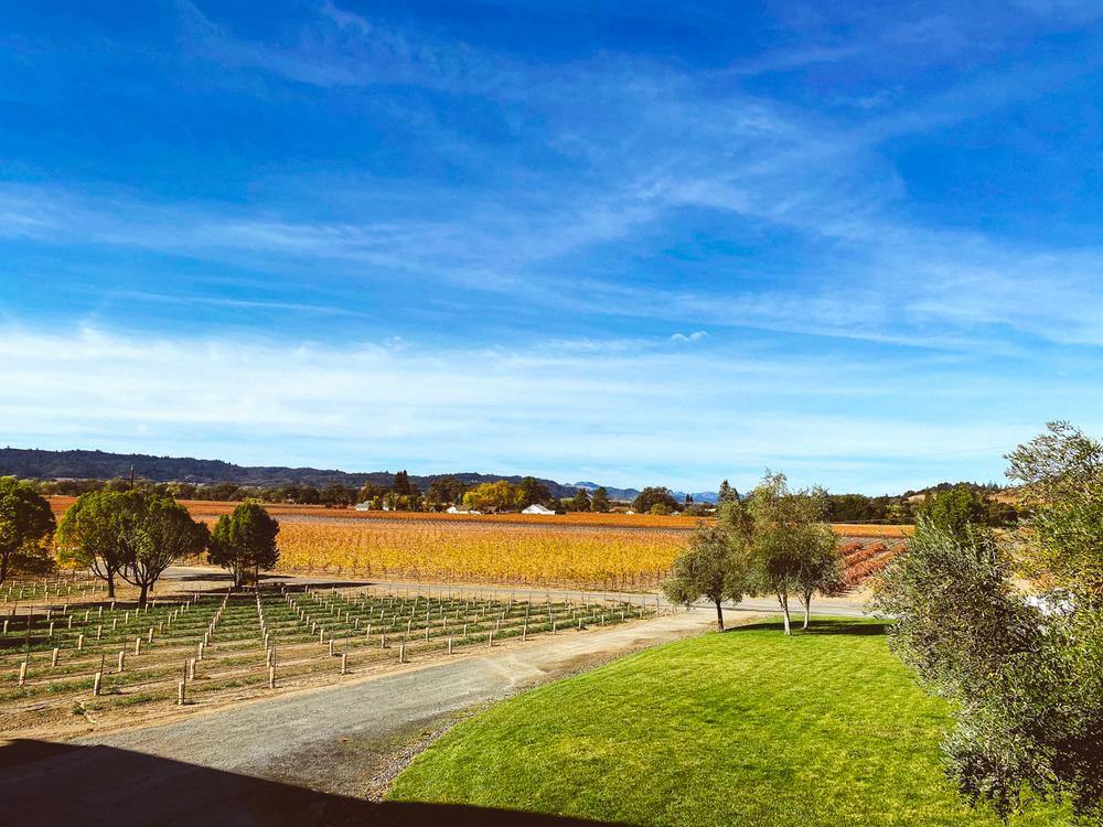 14 Stunning Healdsburg Wineries + Weekend Guide 2021