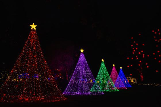 12 Festive Things To Do In Victoria, BC For Christmas